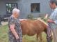 Un bel été à la Palmeraie Résidence La Palmeraie Caen